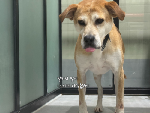 슬라이드 이미지