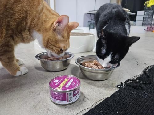 슬라이드 이미지