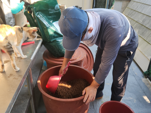 슬라이드 이미지