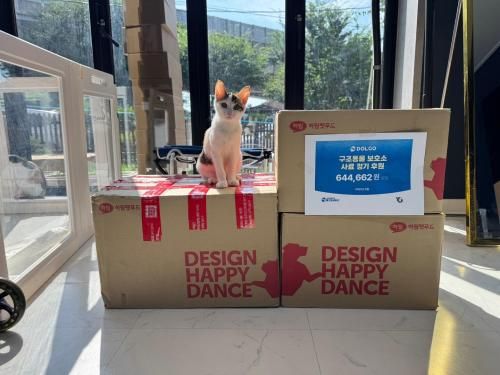 슬라이드 이미지