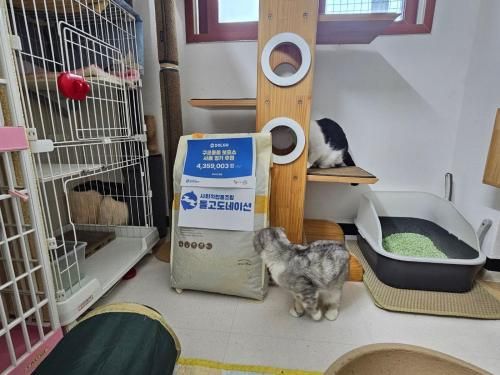 슬라이드 이미지