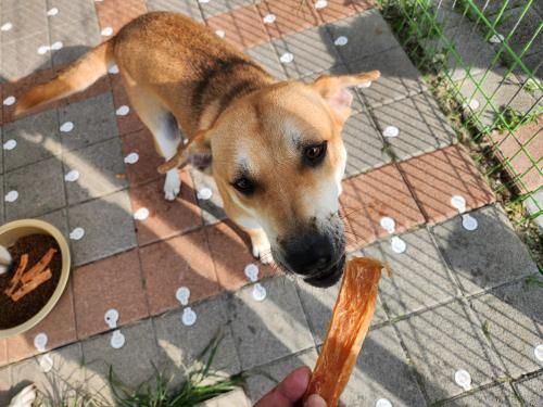 슬라이드 이미지