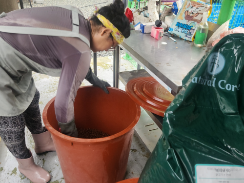 슬라이드 이미지