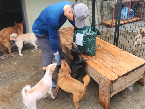 슬라이드 이미지