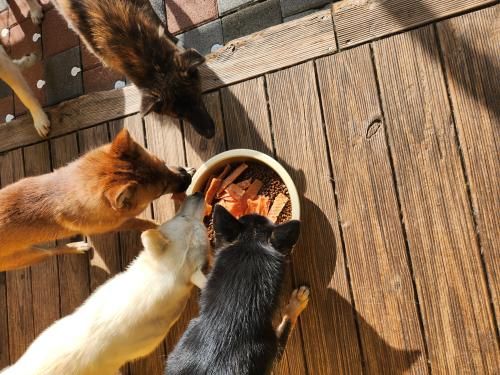 슬라이드 이미지