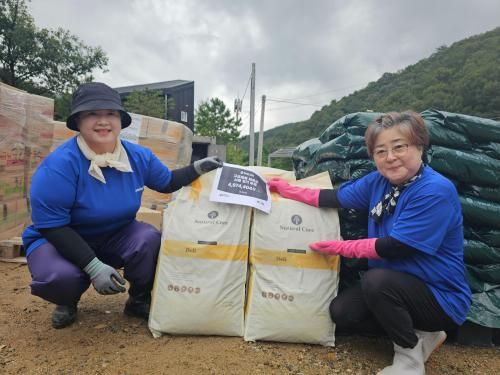 슬라이드 이미지