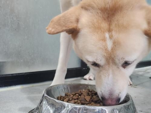 슬라이드 이미지