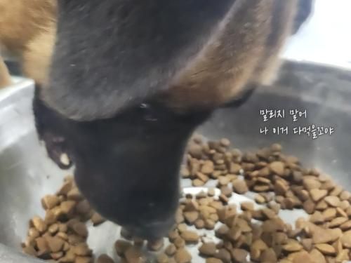 슬라이드 이미지