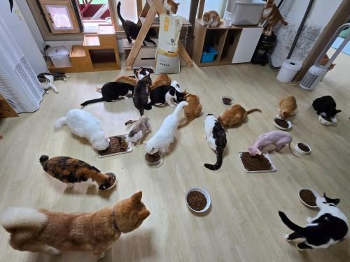 슬라이드 이미지