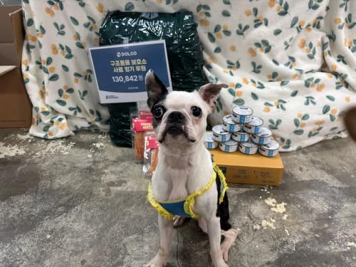 슬라이드 이미지