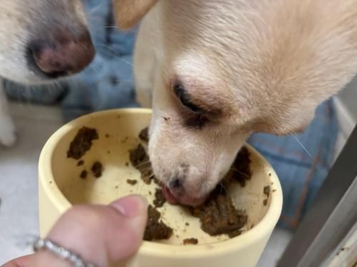 슬라이드 이미지