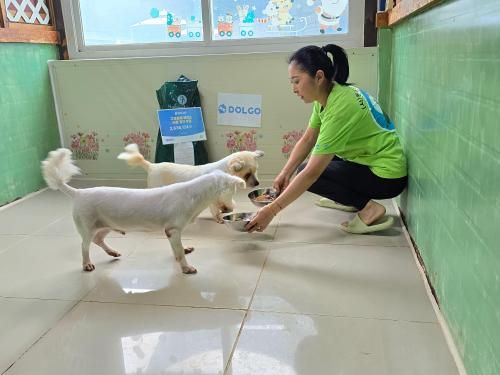 슬라이드 이미지