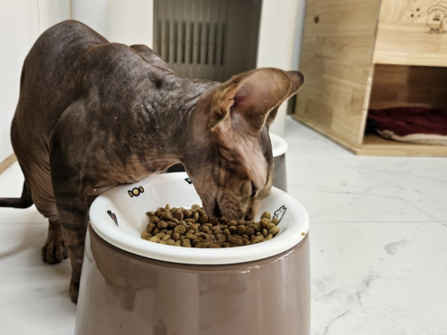 슬라이드 이미지