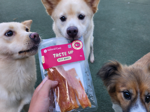 슬라이드 이미지