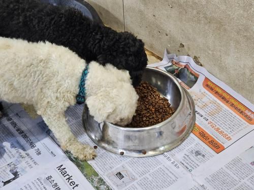 슬라이드 이미지