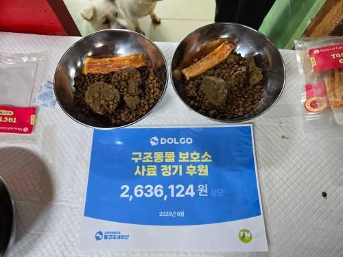 슬라이드 이미지