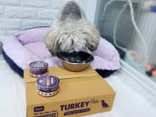 슬라이드 이미지