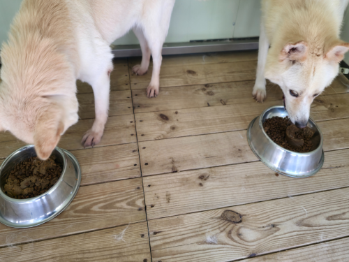 슬라이드 이미지