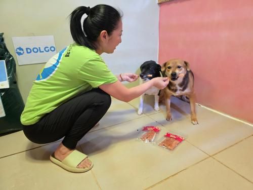 슬라이드 이미지