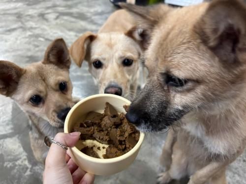 슬라이드 이미지