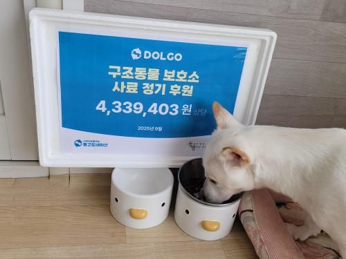 슬라이드 이미지