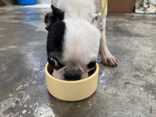 슬라이드 이미지