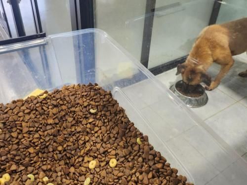 슬라이드 이미지