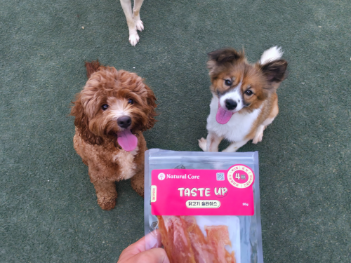 슬라이드 이미지