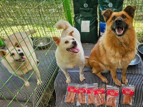 슬라이드 이미지