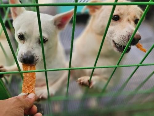 슬라이드 이미지