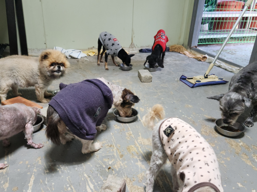 슬라이드 이미지