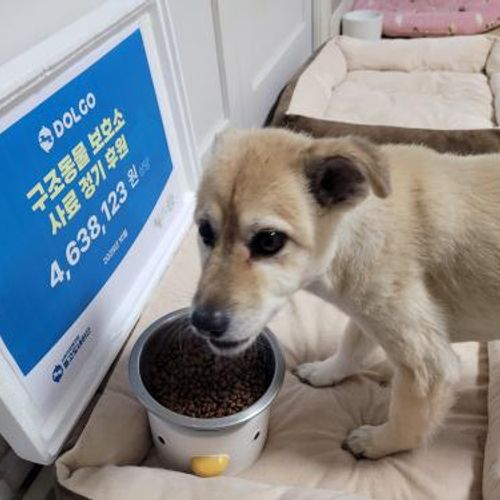 슬라이드 이미지