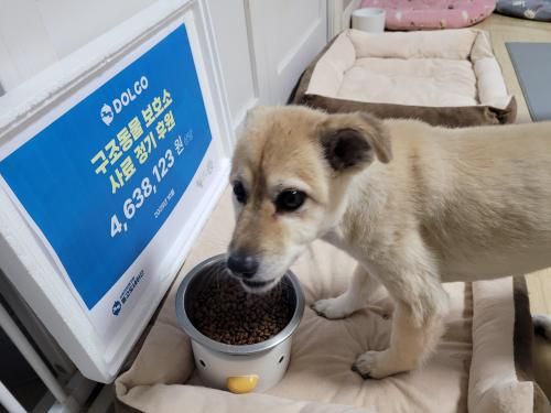 슬라이드 이미지