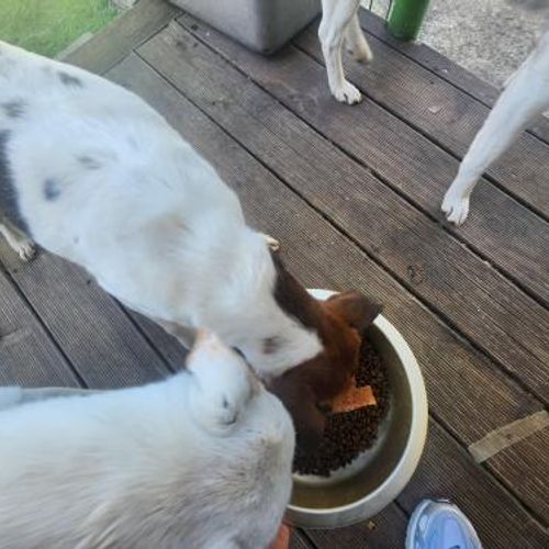 슬라이드 이미지