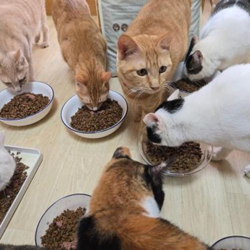 슬라이드 이미지