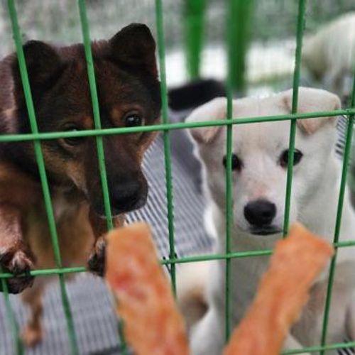 슬라이드 이미지