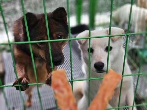 슬라이드 이미지