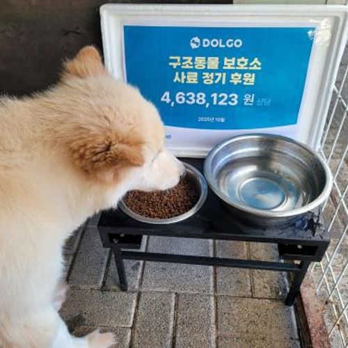 슬라이드 이미지