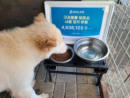 슬라이드 이미지