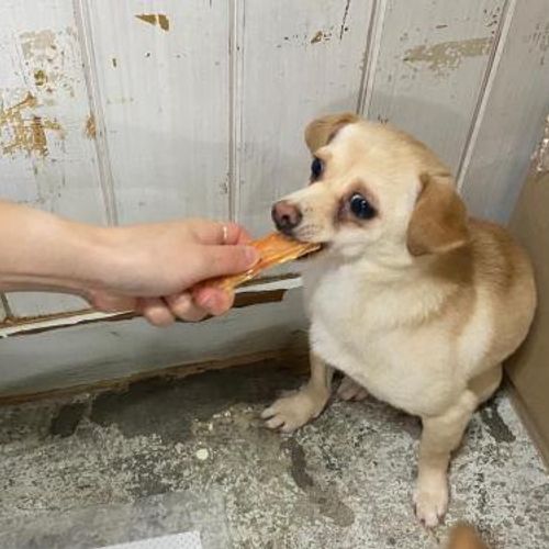 슬라이드 이미지