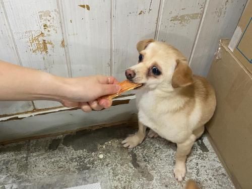 슬라이드 이미지