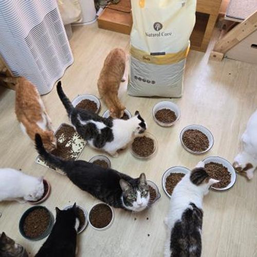 슬라이드 이미지