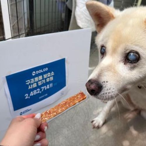 슬라이드 이미지