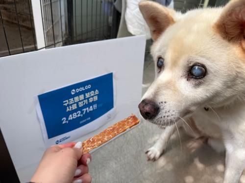 슬라이드 이미지