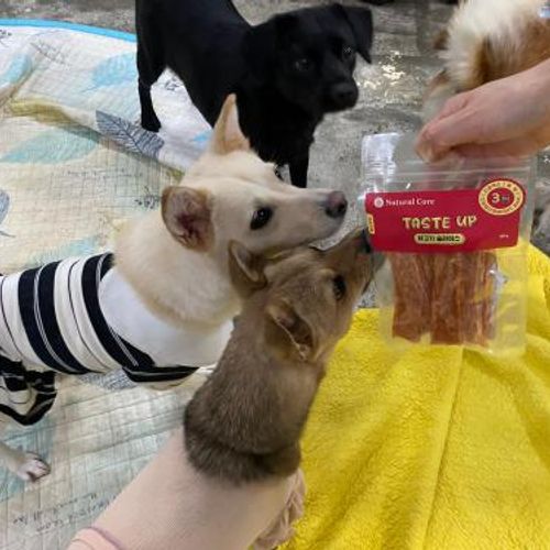 슬라이드 이미지