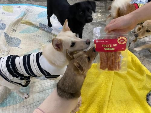 슬라이드 이미지