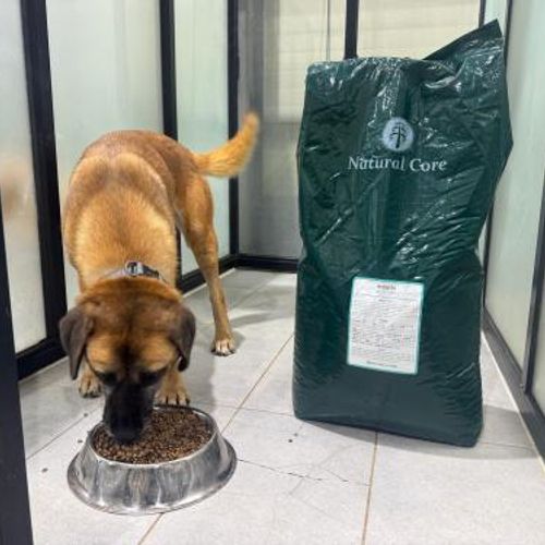 슬라이드 이미지