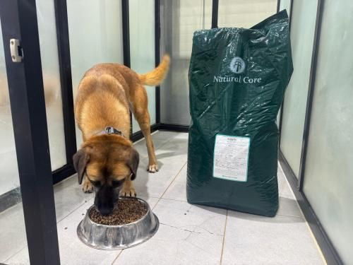 슬라이드 이미지