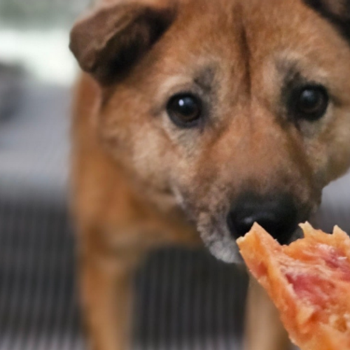 슬라이드 이미지