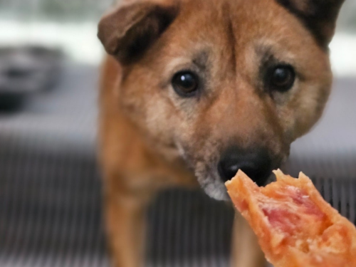 슬라이드 이미지